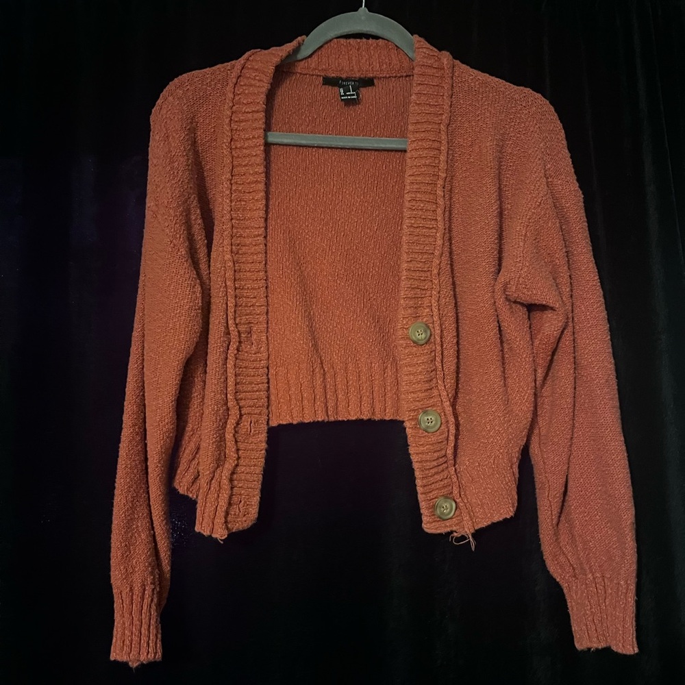 Knit Terracotta/Rust Crop Sweater